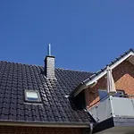 Inselblume 09 - An Der Reiterkoppel Auf Fehmarn
